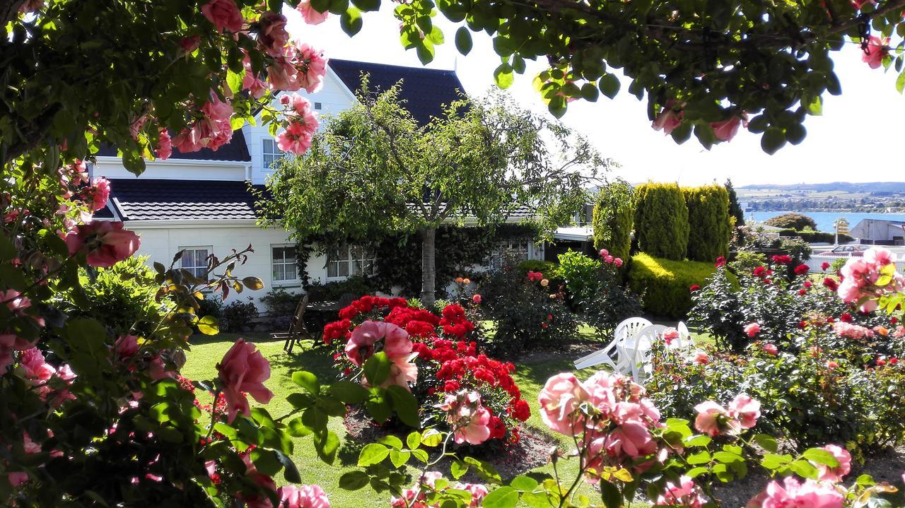 Phoenix Thermal Resort - Taupo Dış mekan fotoğraf