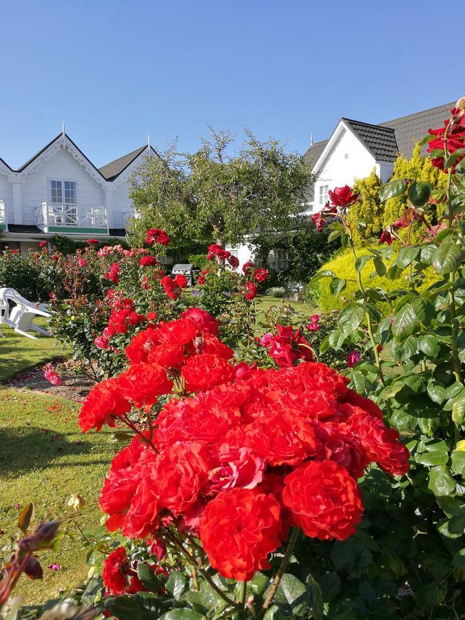 Phoenix Thermal Resort - Taupo Dış mekan fotoğraf