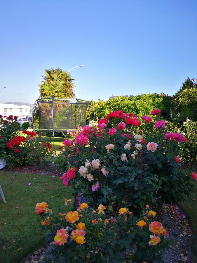 Phoenix Thermal Resort - Taupo Dış mekan fotoğraf